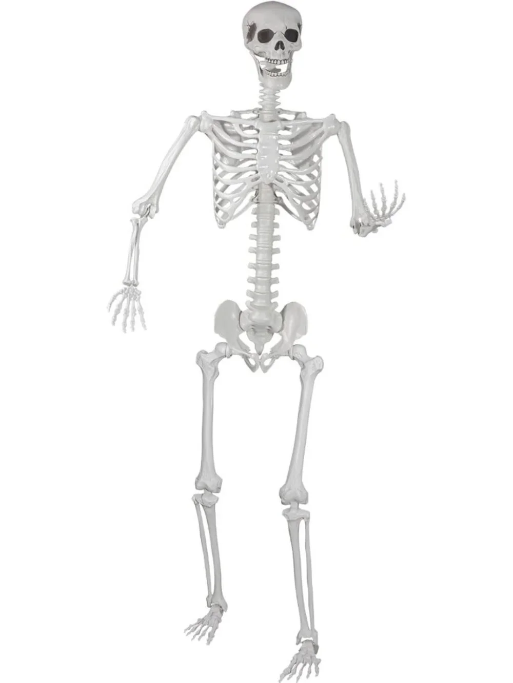 Realistic Life-Size Skeleton with Movable Joints for Halloween Party Decor 5.9ft